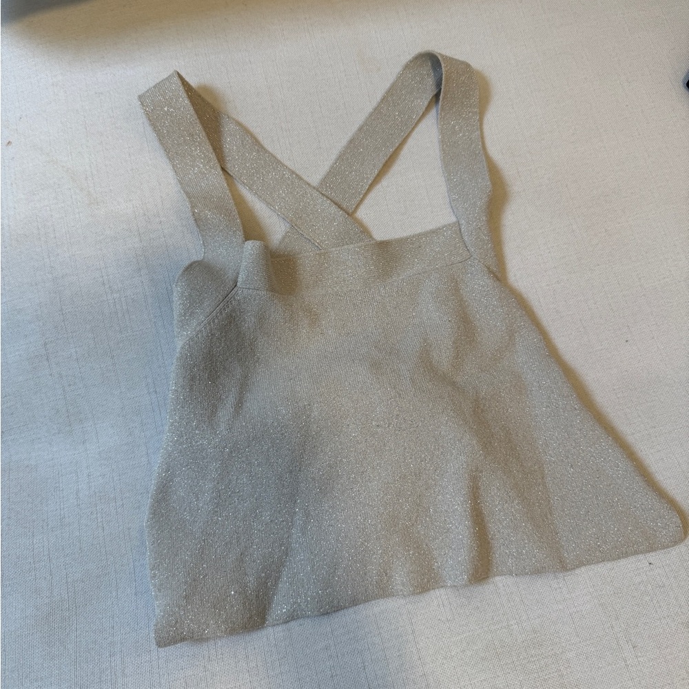 Aritzia Knit Cayenne Top Silver